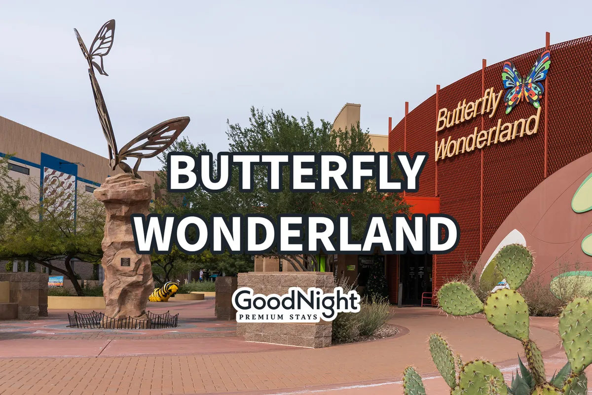 This image features the exterior of Butterfly Wonderland, highlighted by its signature butterfly sculpture, vibrant cacti, and lush landscaped greenery. The welcoming entrance instantly sets a playful, family-friendly tone and hints at the educational fun inside.
