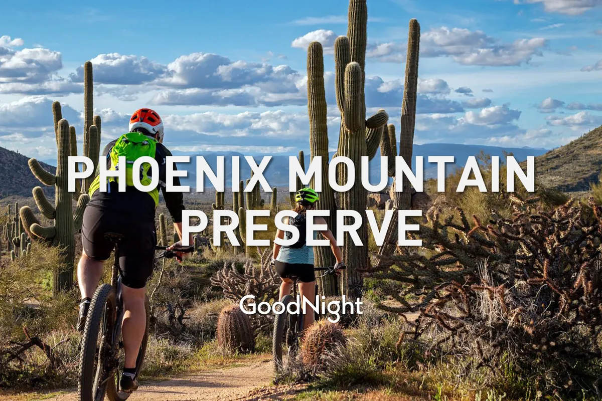 A dynamic outdoor scene showing families and bikers enjoying a mountainous landscape dotted with iconic saguaro cacti. The setting sun casts a golden glow, evoking a sense of shared adventure and connection with nature.